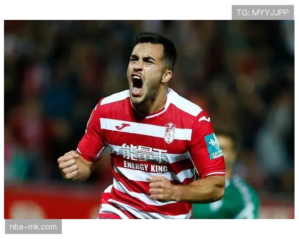 格拉纳达0-2不敌皇家社会，保级形势进一步恶化